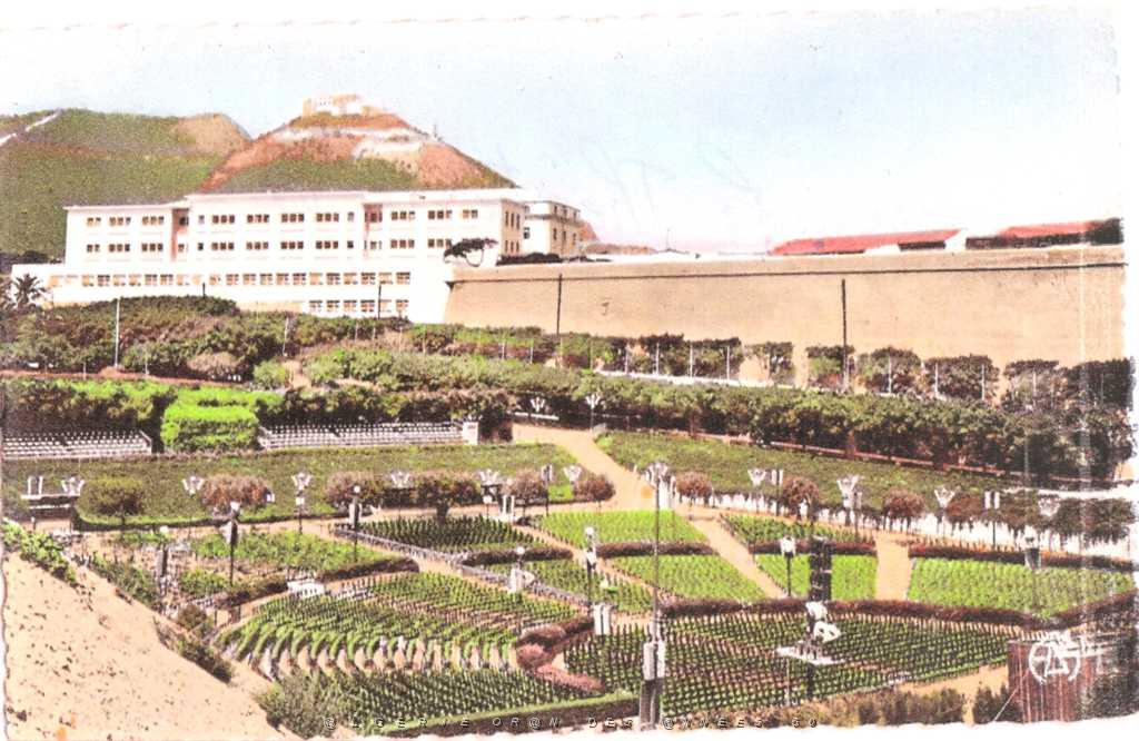 ORAN 005.JPG